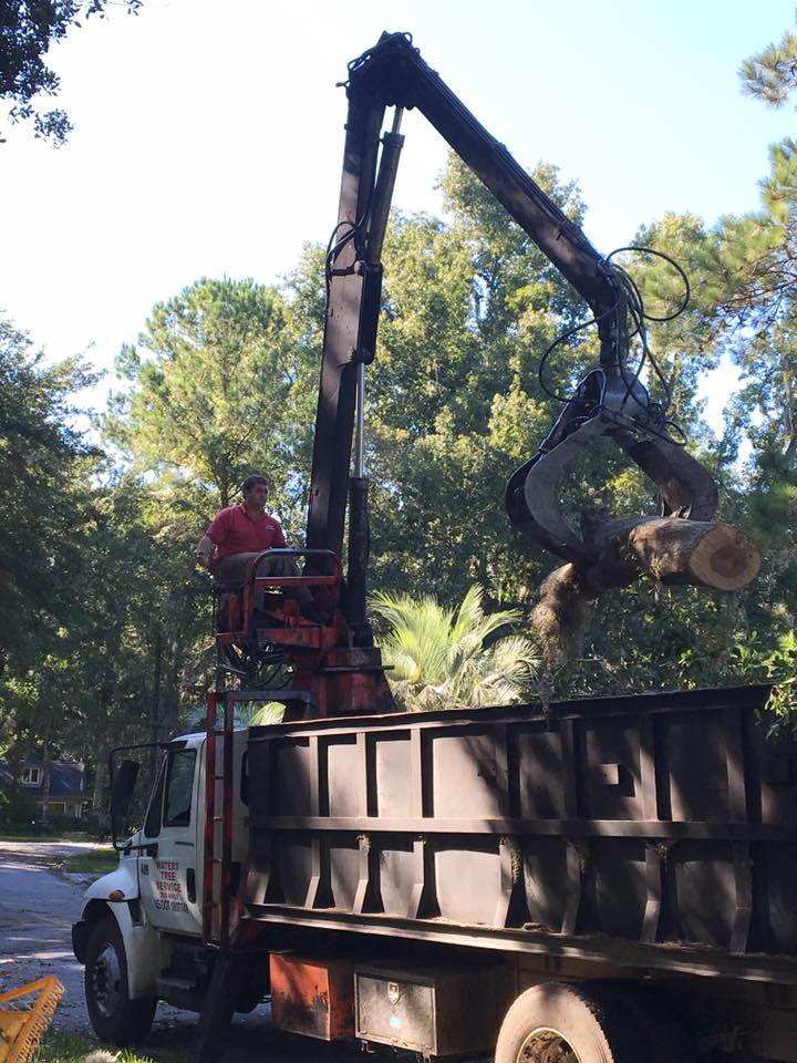 Grapple Saw Holding a Huge Trunk — Savannah, GA — Waters Tree Service