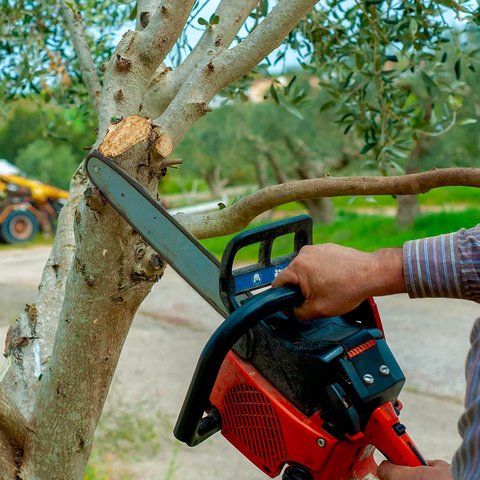 Tree Trimming — Man with Chainsaw Cutting the Tree in Savannah, GA