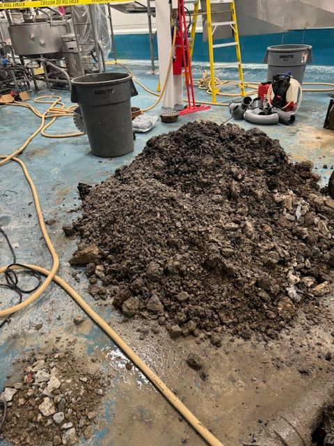 A pile of dirt is on the floor next to a bucket.