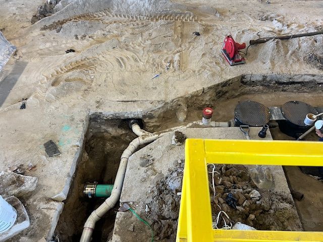 A yellow ladder is sitting in the dirt next to a hole in the ground.