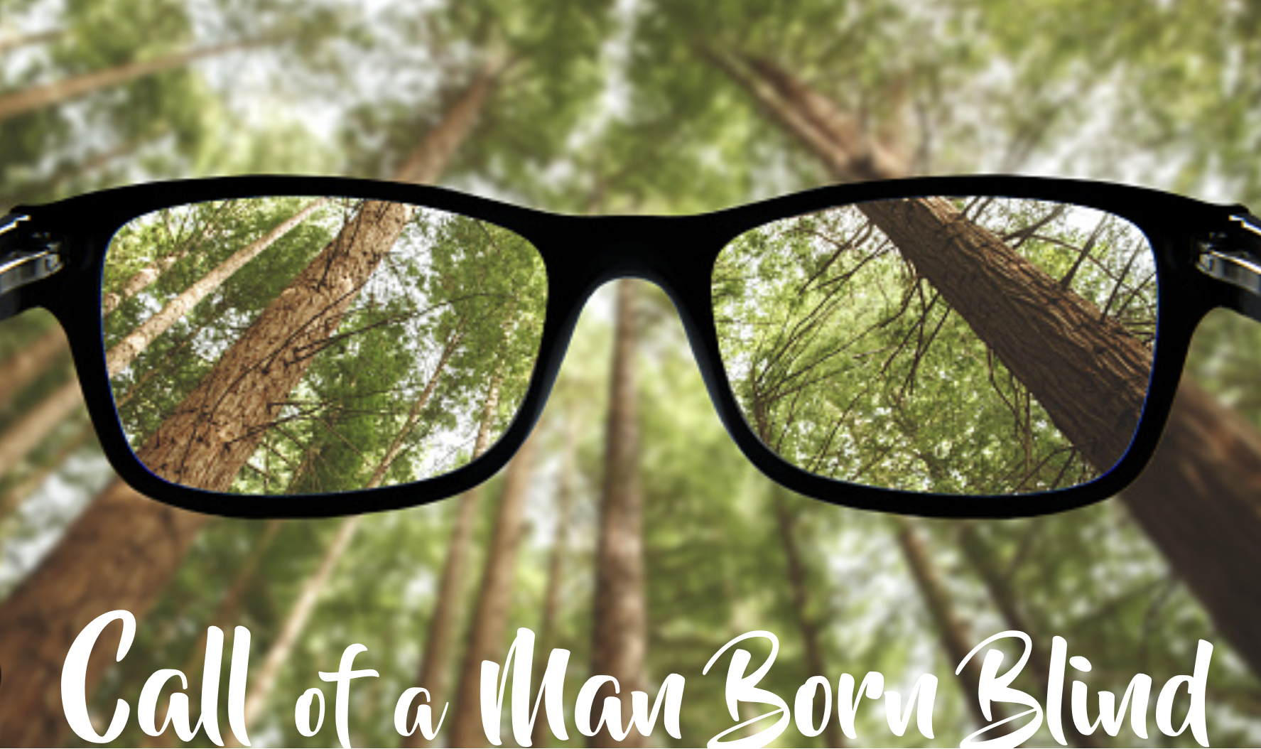 Looking through a pair of glasses into a forest of tall trees