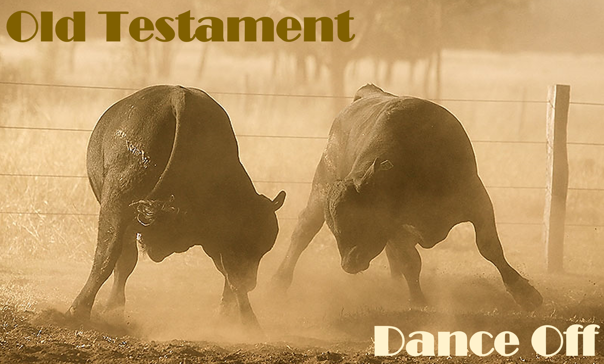 Two fully grown bulls fighting each other. The whole image is a dusty brown color