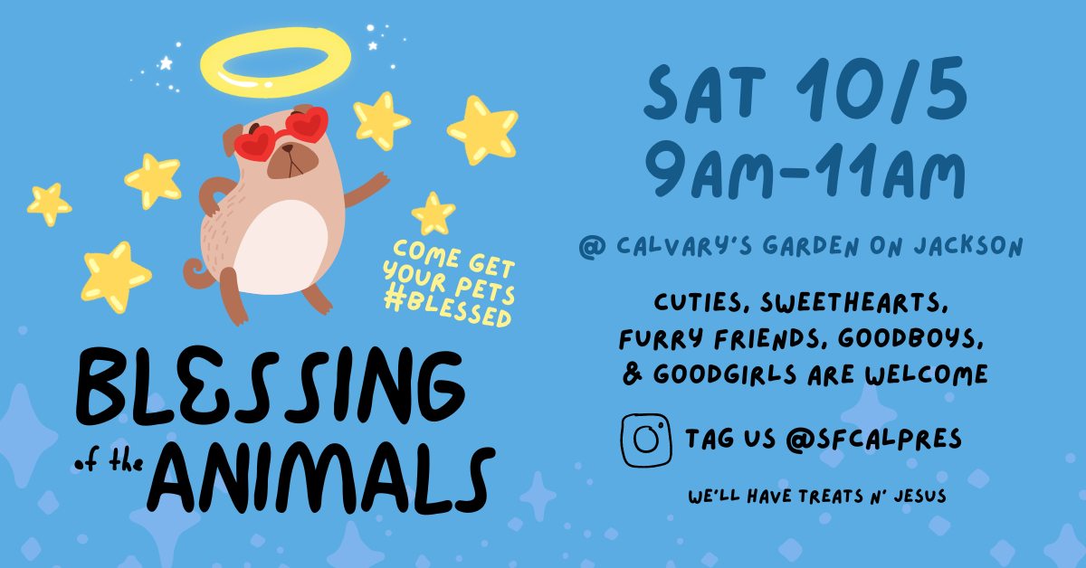 Come get your pets #blessed! Saturday October 5 from 9am to 11am. We'll be located in Calvary's garden on Jackson Street. All animals are welcome! 