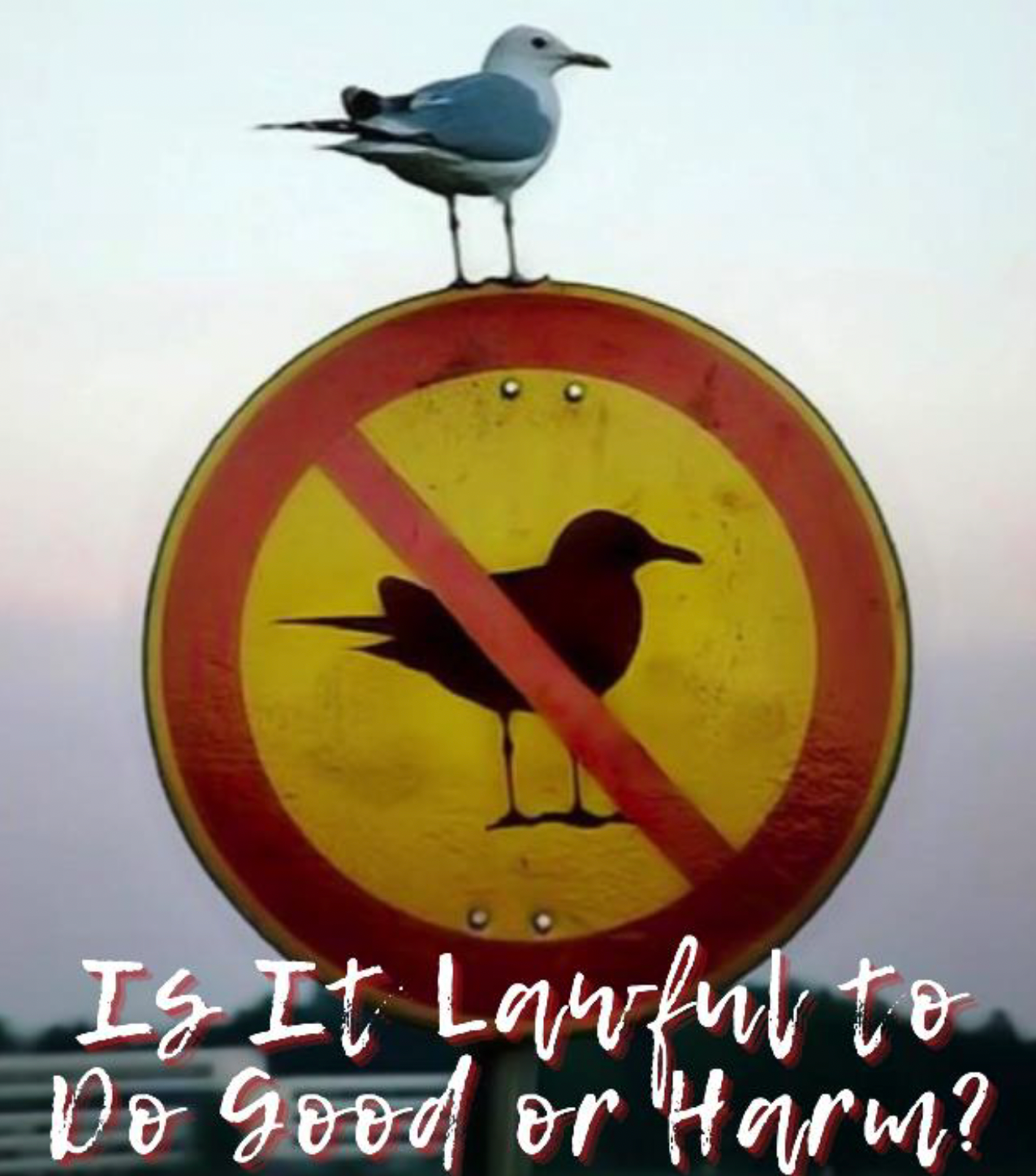 A bird sitting on top of a sign that prohibits bird. 