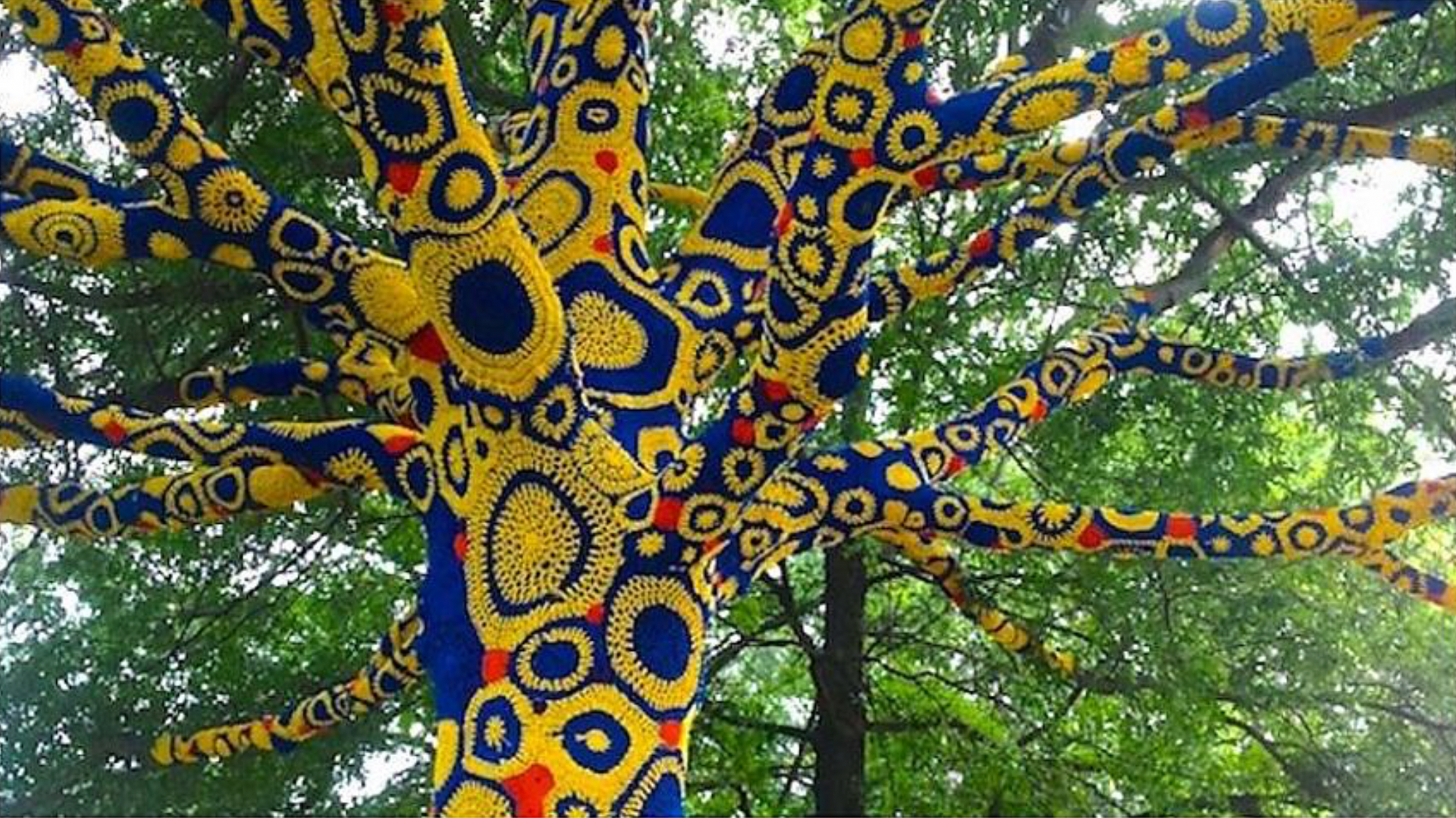 A tree covered in multicolor yarn - an installation by Carol Hummel, 2013