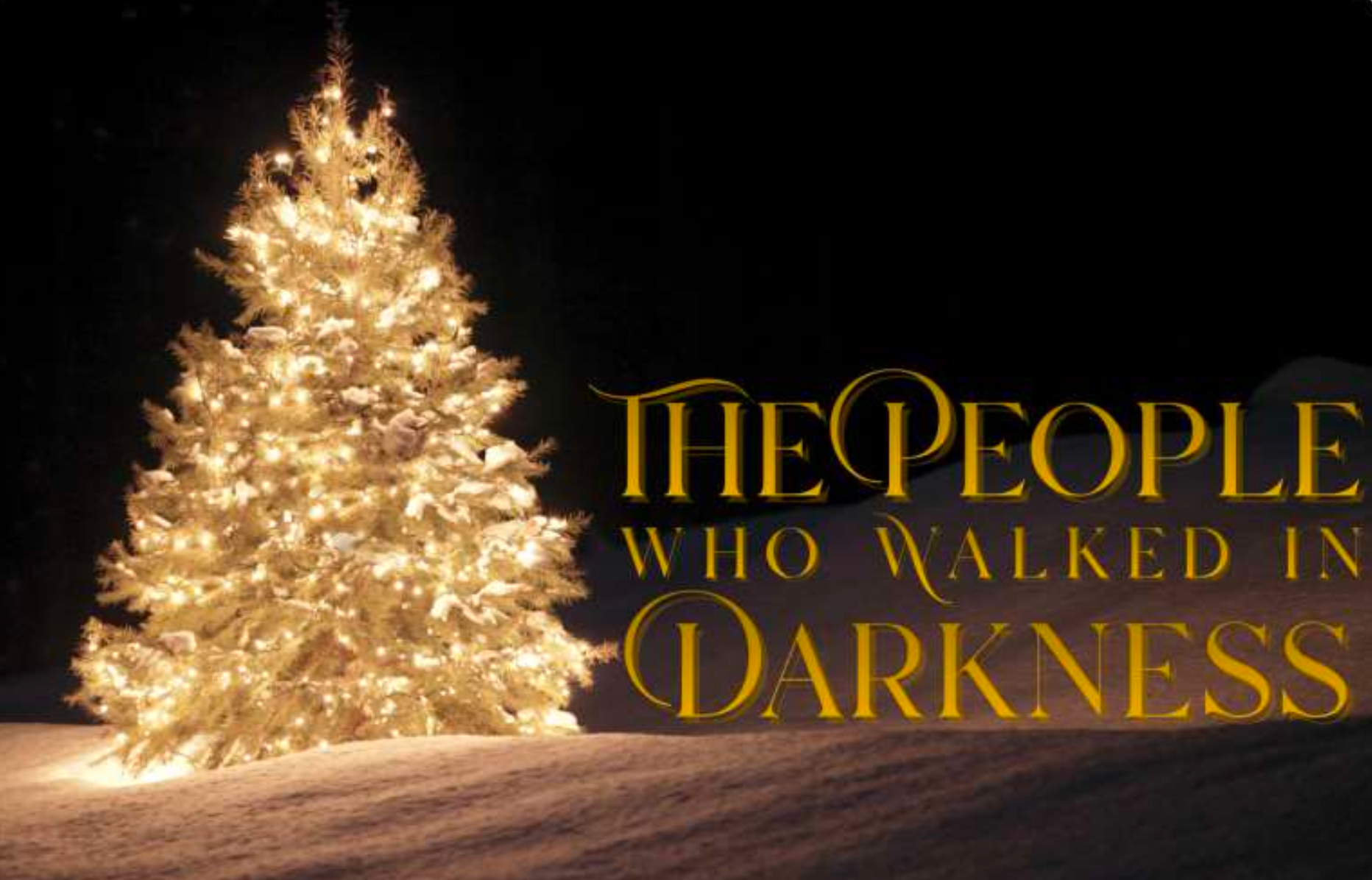 A black night with a lit up Christmas tree - the text reads ‘the people who walked in darkness’