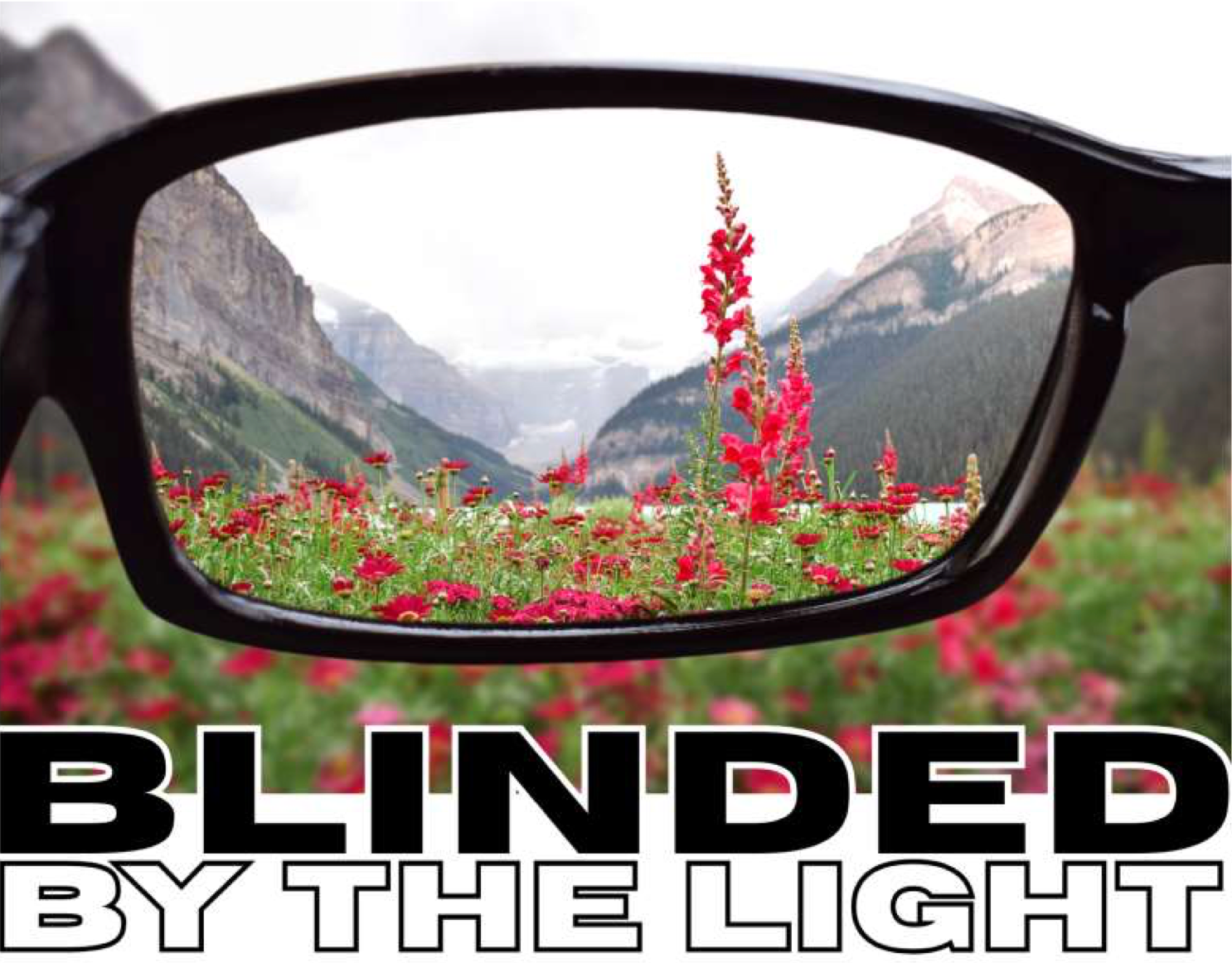 A lens inside a pair of glasses looking into a field of flowers - text reads ‘blinded by the light’
