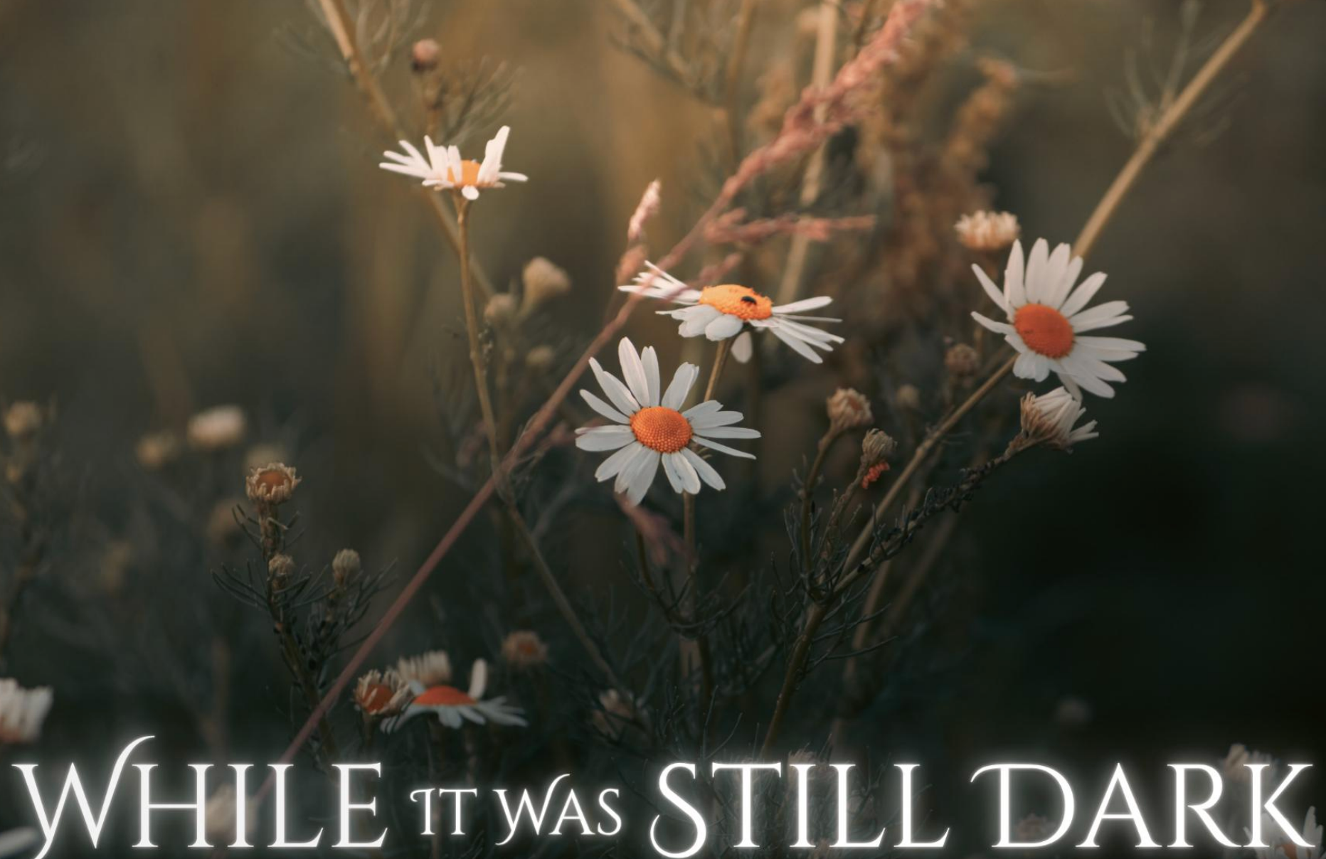 A bunch of wildflowers in dusk lighting, the text reads ‘while it was still dark’