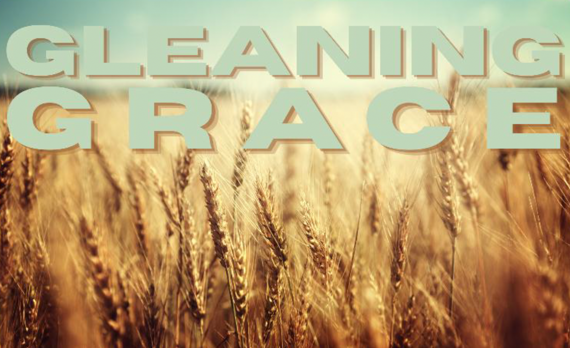 A field of wheat with the text ‘gleaning grace’ at the top