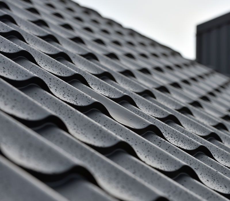 Metal Roof — Renton, WA — Alpine Gentle Roof Cleaning