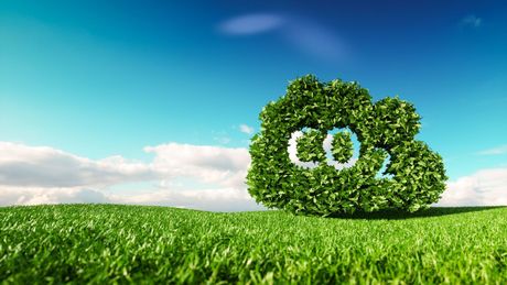 Ein Baum in Form einer CO2-Wolke steht mitten auf einer Wiese - Verein zur Dekarbonisierung der Industrie