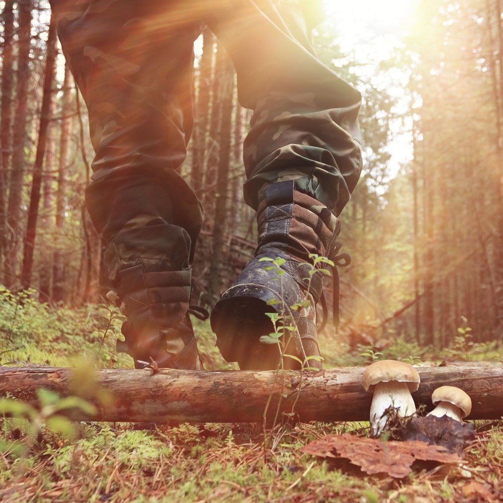 Walking in The Woods — Grand Rapids, MI — Safari Club International Michigan Chapter