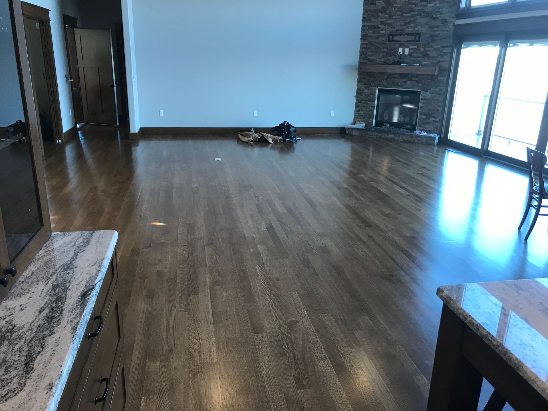 A dog is laying on the floor in a living room next to a fireplace.