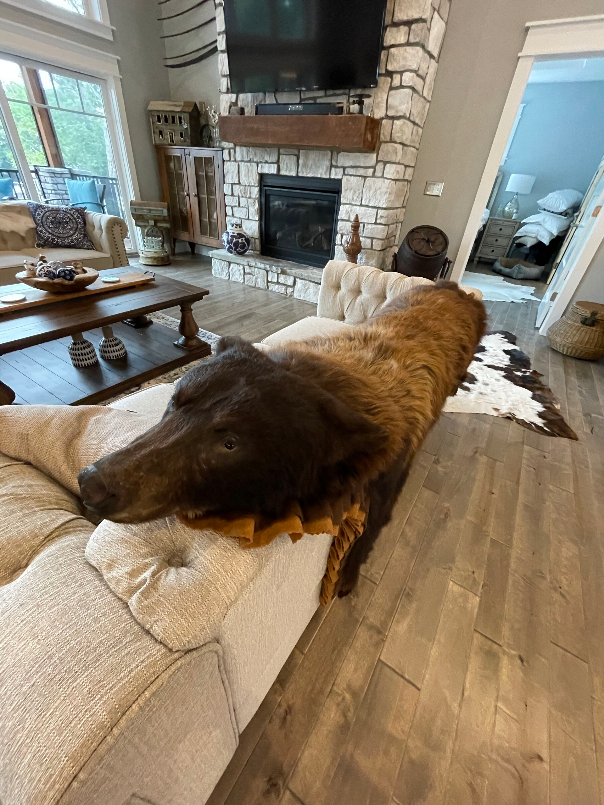 A bear is laying on a couch in a living room.