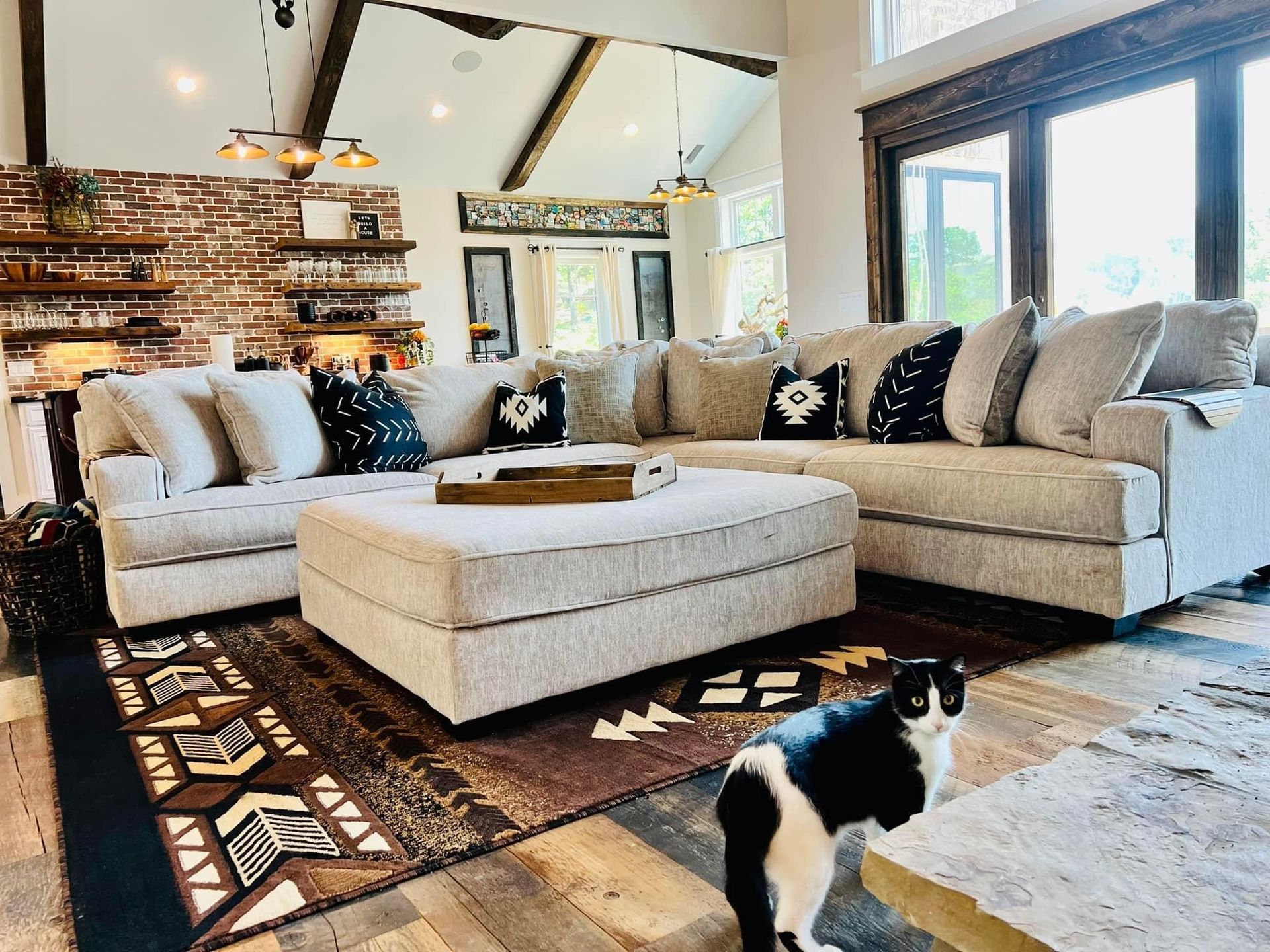 A black and white cat is standing in a living room next to a couch.