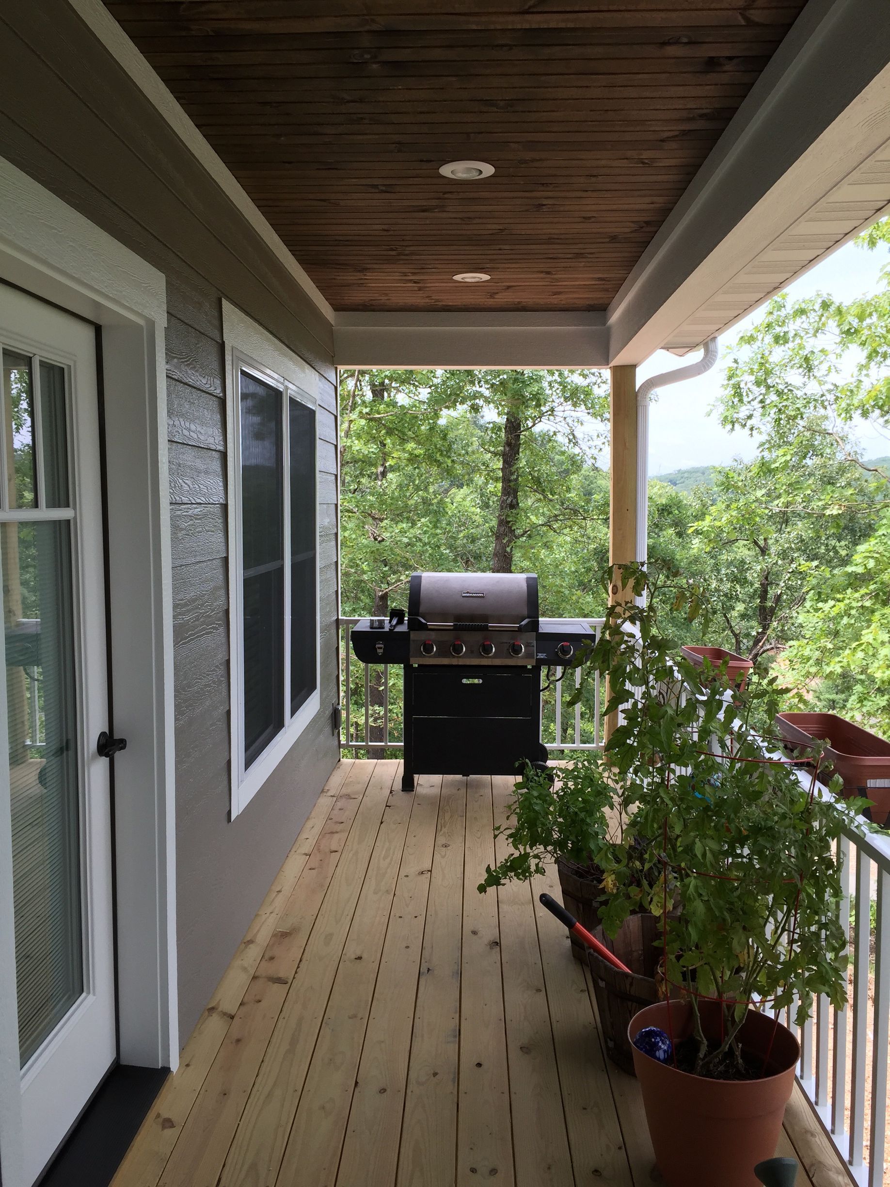 A porch with a grill and potted plants on it