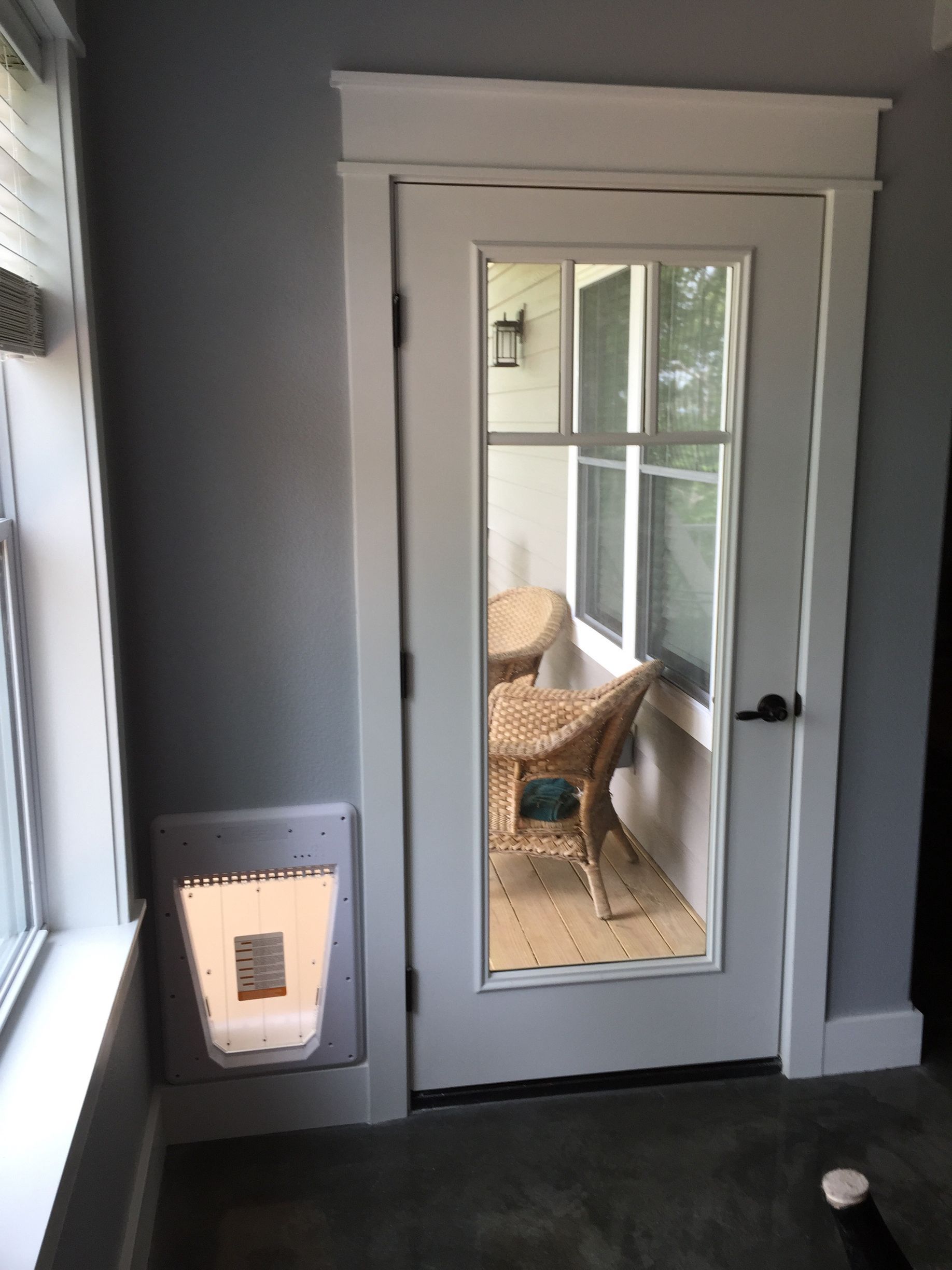 A door with a cat door built into it leading to a porch.