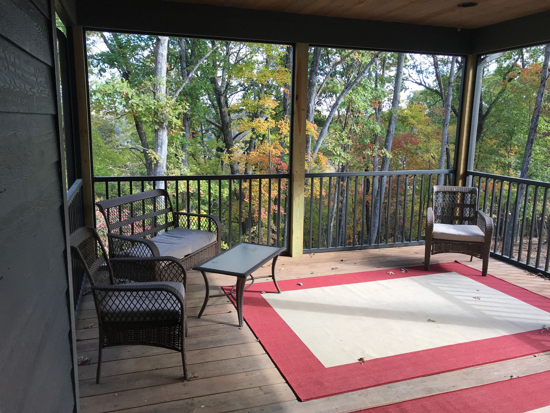 A screened in porch with chairs a table and a rug