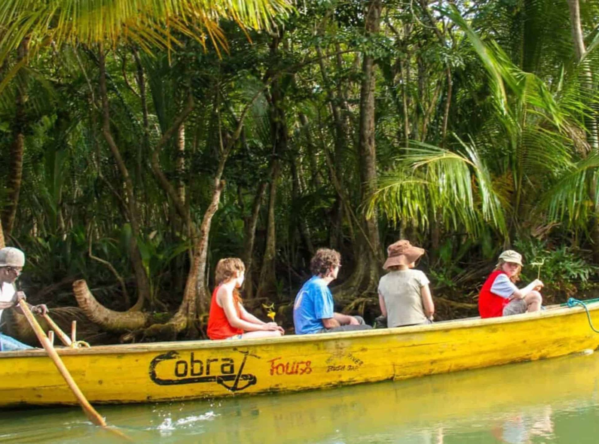People on a yellow boat labeled "Cobra Tours" travel through a lush green jungle.