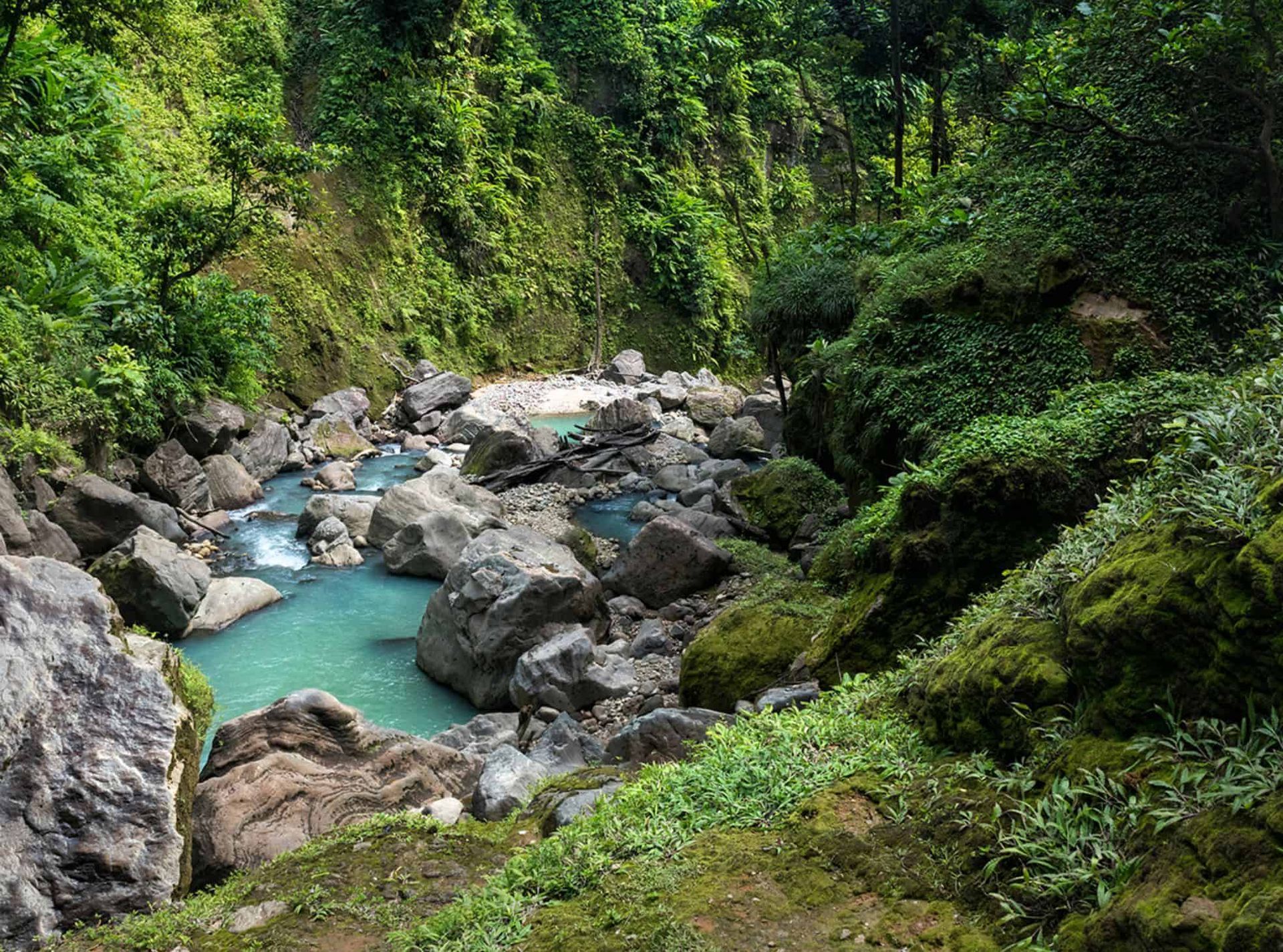 Emerald stream flows through rocky gorge, surrounded by lush green vegetation.