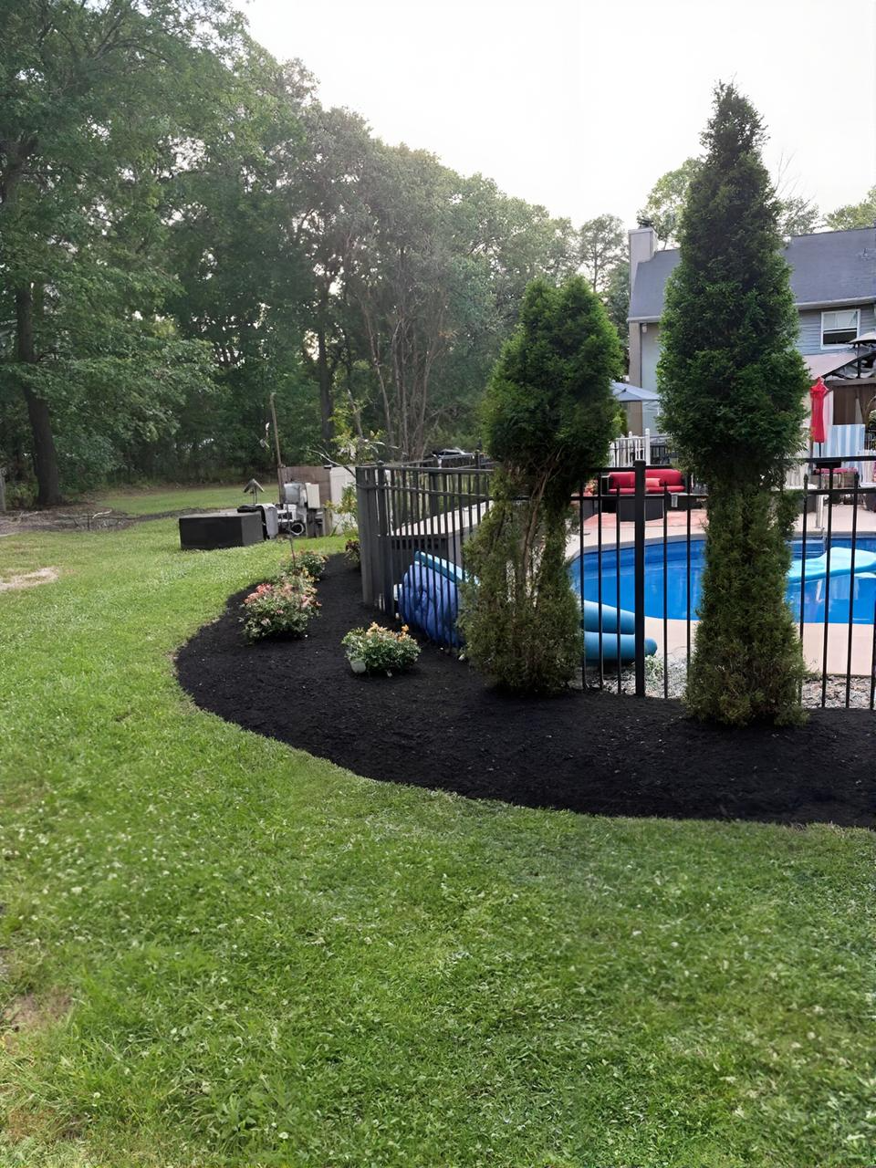 Landscaped backyard with black mulch, shrubs, tall evergreens, and a blue above-ground pool beside a house