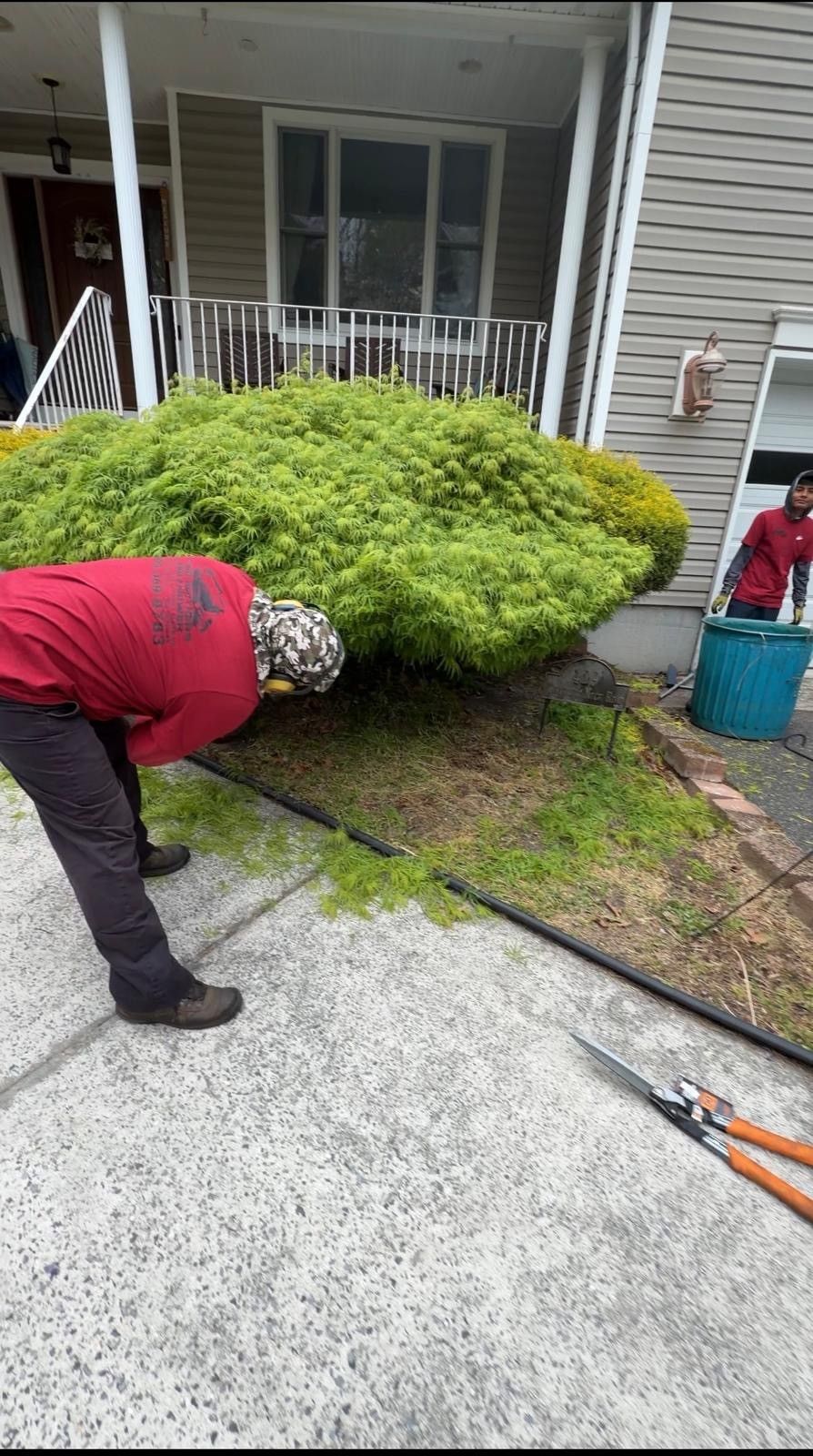 Worker trimming a large green shrub beside a house porch, with tools on the driveway