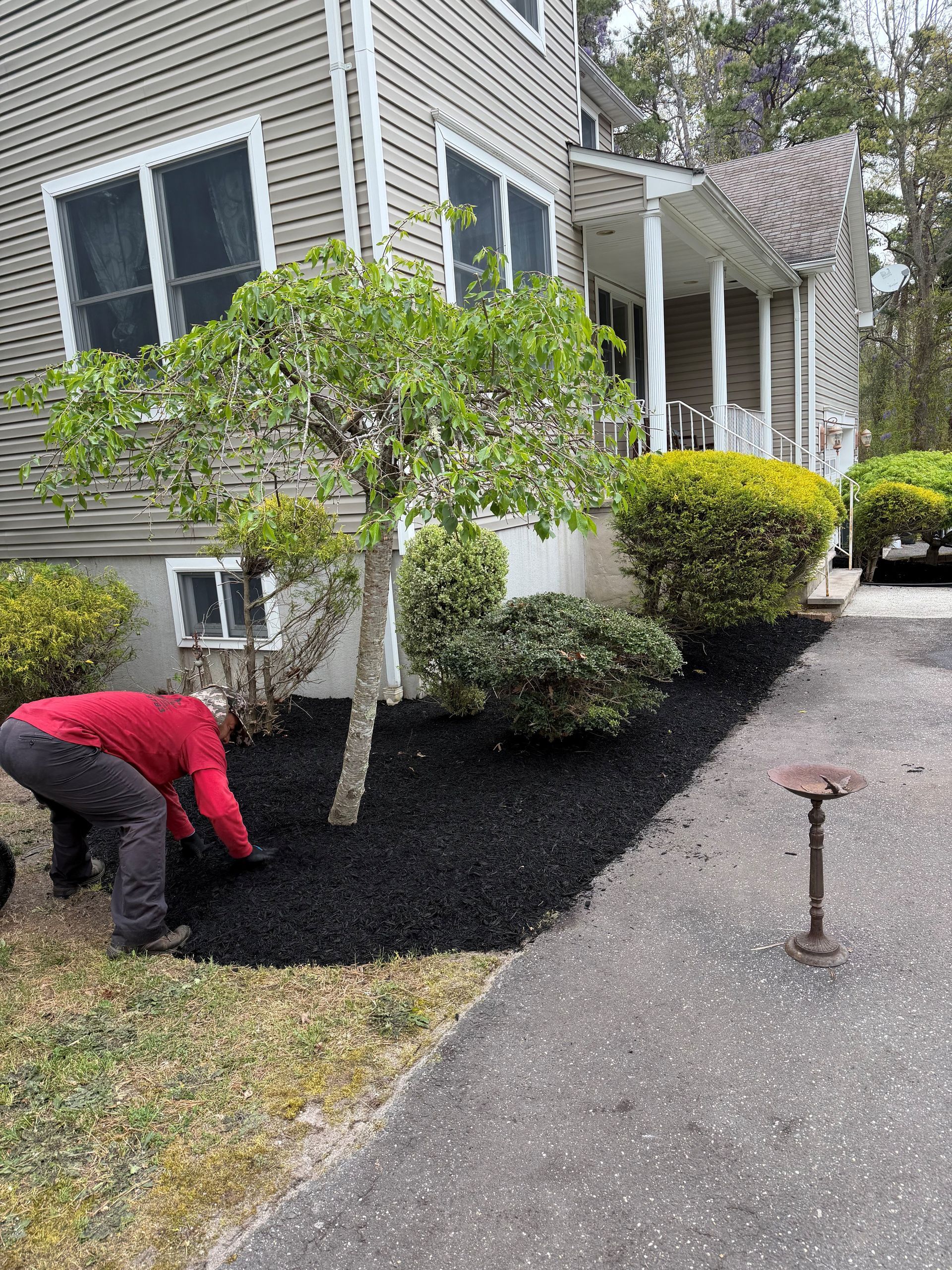 Person in red shirt spreading black mulch beside a house and driveway
