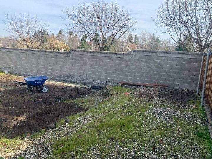 A blue wheelbarrow sits on a plot of dark, tilled soil in a backyard next to a gray concrete block wall.