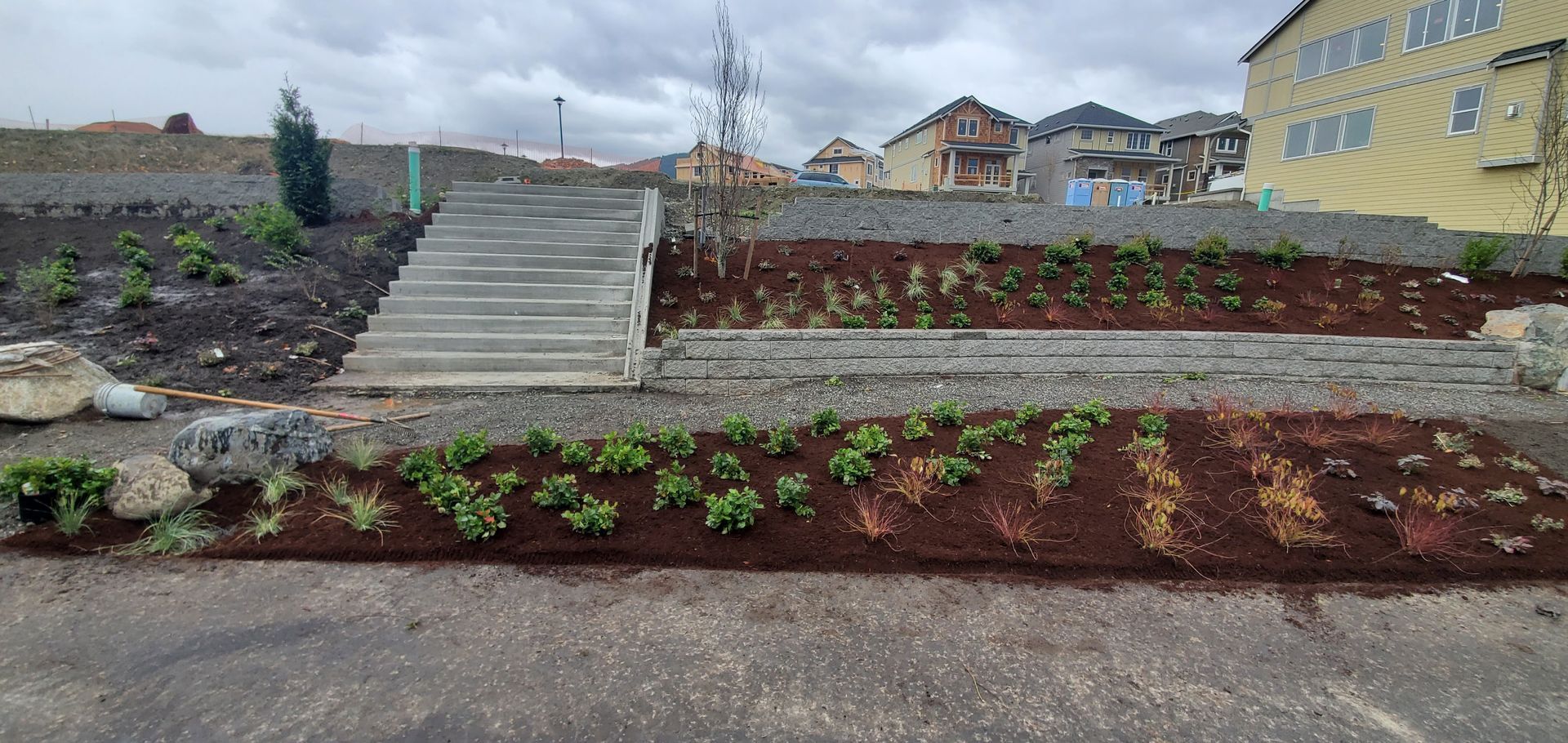 A set of concrete stairs leads up a landscaped hill with young plants and mulch, cloudy sky.
