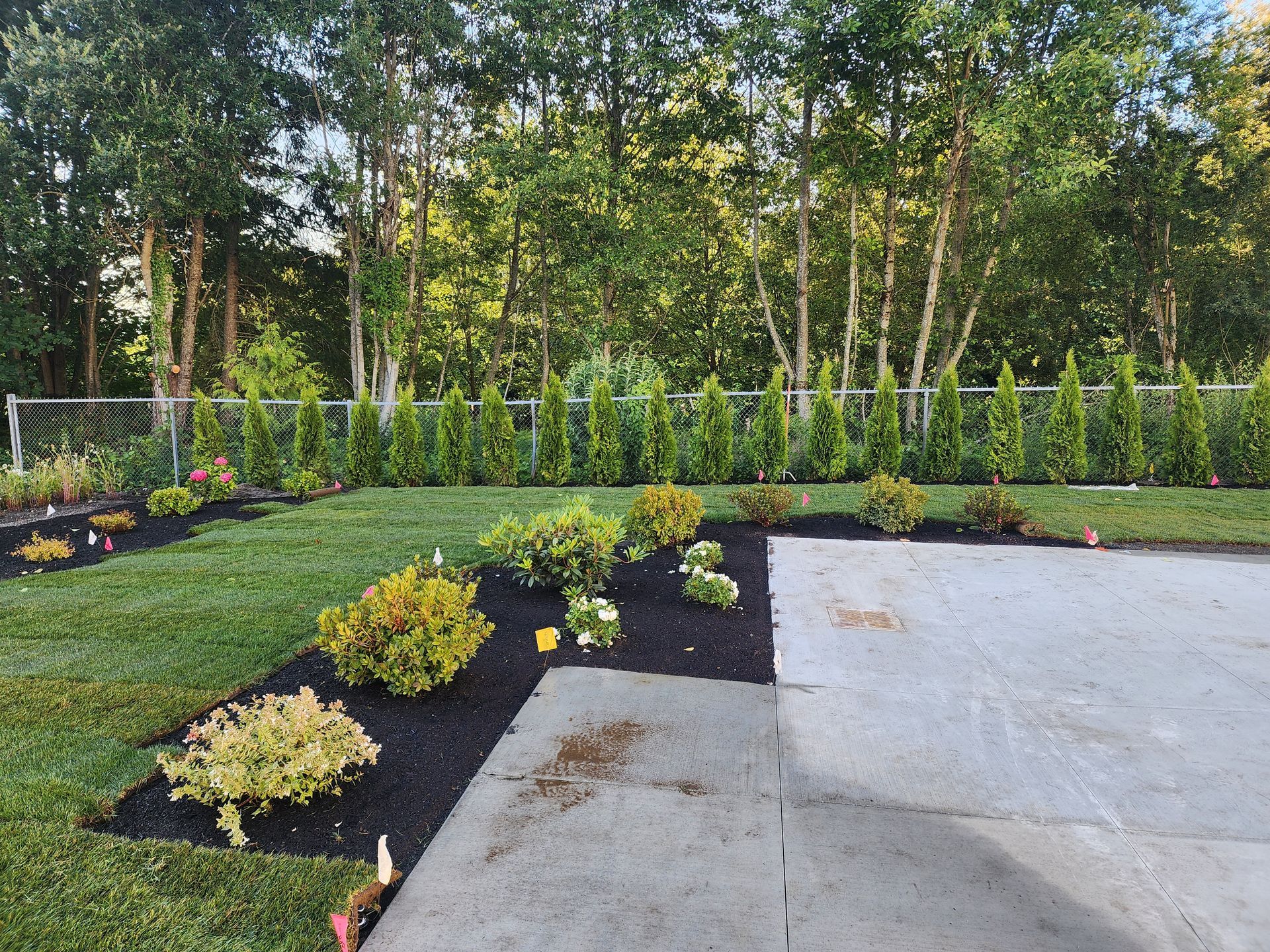Lawn with flower beds, shrubs, and trees along a fence line. A concrete patio is on the right.