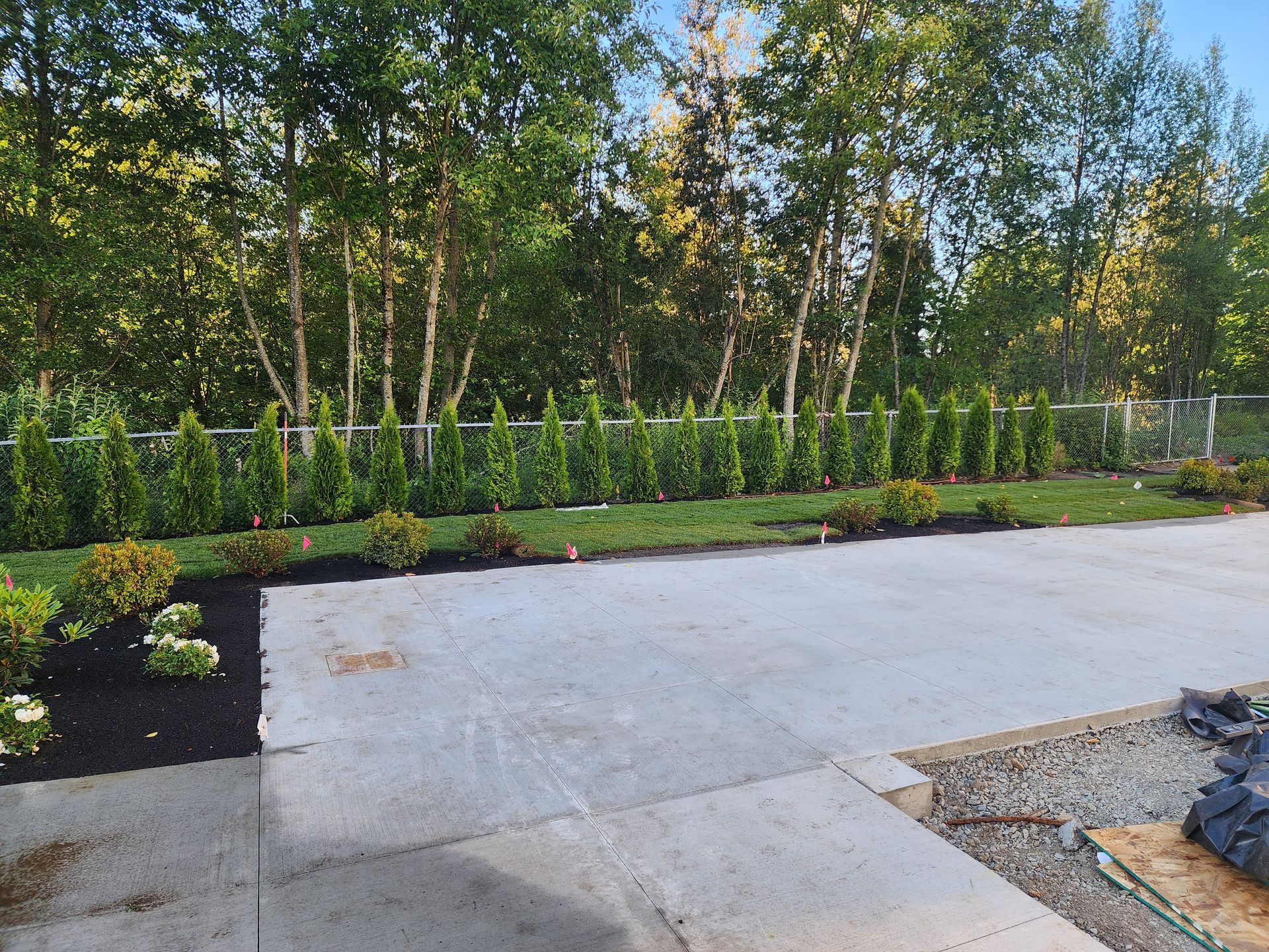 Backyard with concrete patio, green lawn, evergreen trees, and chain-link fence.
