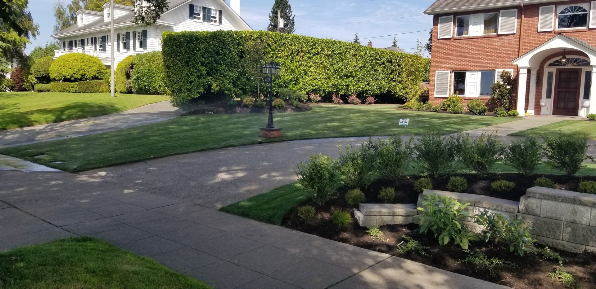 Residential front yards with manicured hedges and houses on a sunny day.