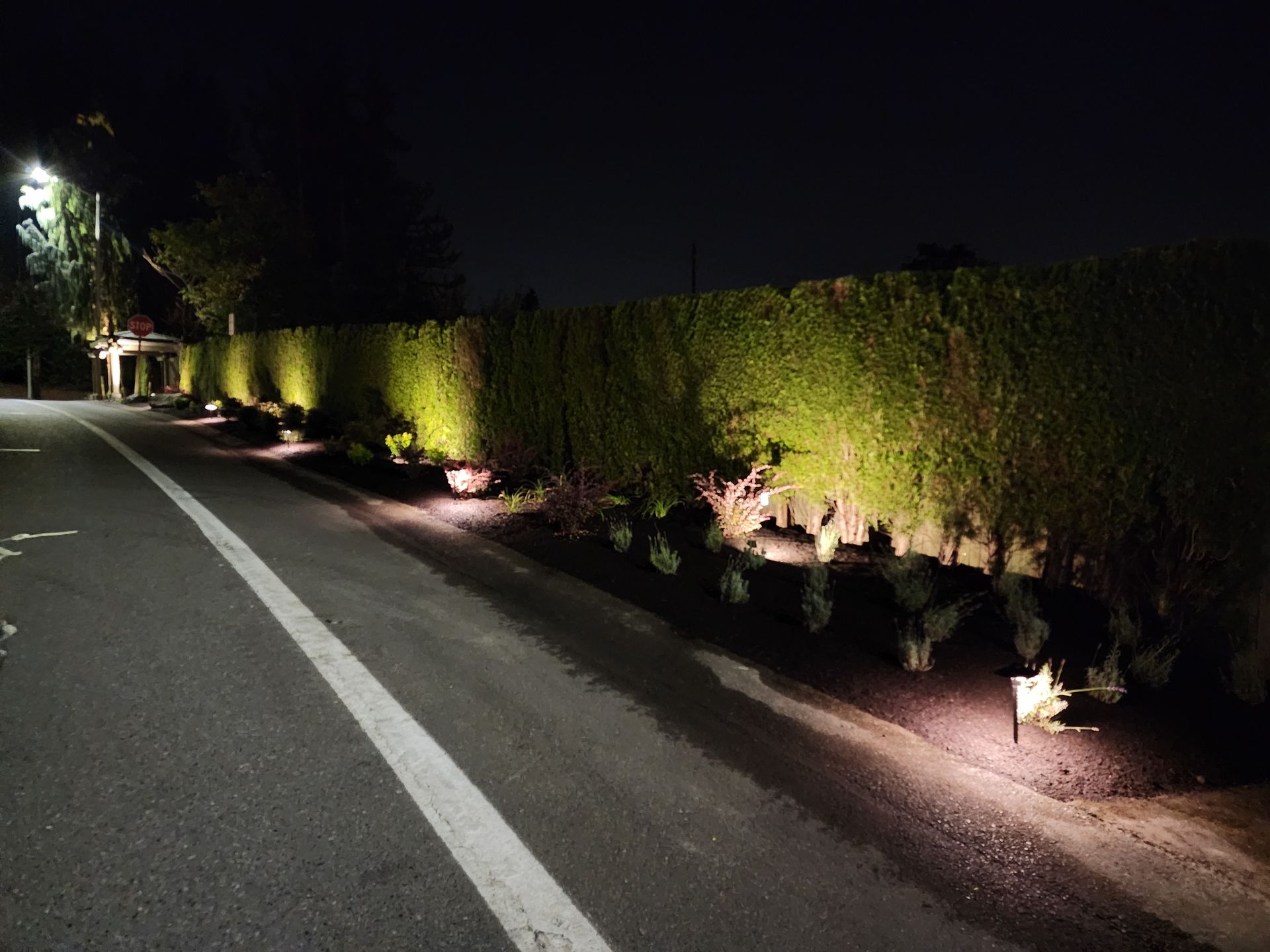 Dark roadside with illuminated hedge, ground lights, and white road stripe.