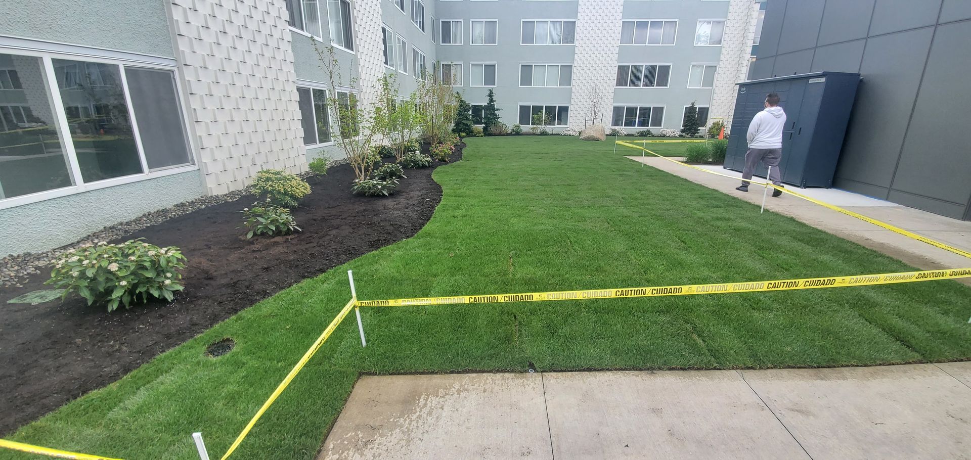 A newly landscaped lawn with green grass, mulch, plants, and caution tape. A person walks nearby.