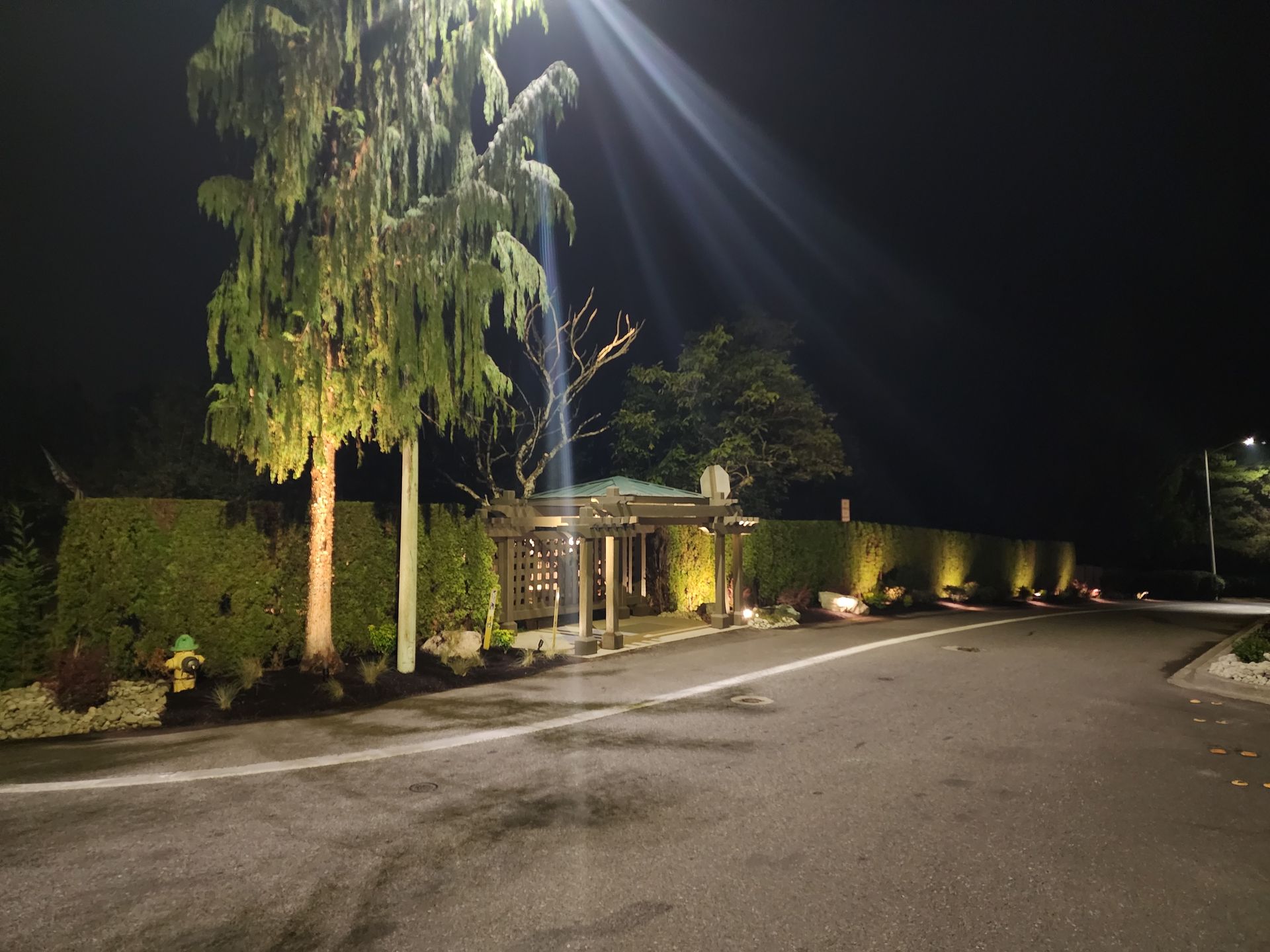 A lit driveway at night, with a hedge and gate. Trees and pathway lights illuminate the scene under a dark sky.