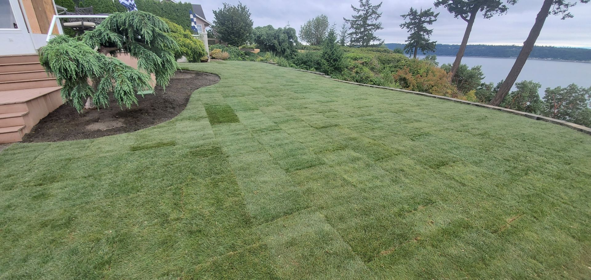 Lush green lawn with a tree and water in the background. Cloudy sky.