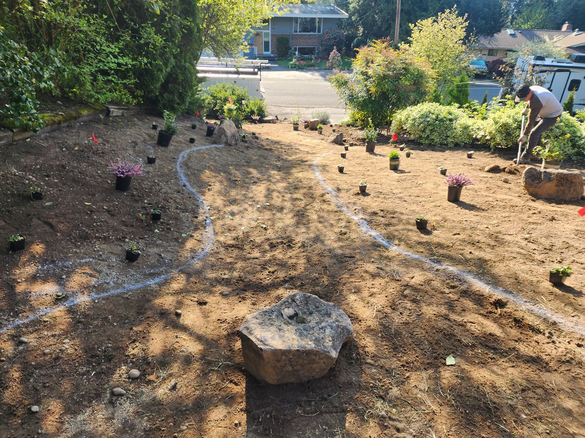 Landscaper planting in a garden bed with plants, rocks, and a white path outline.