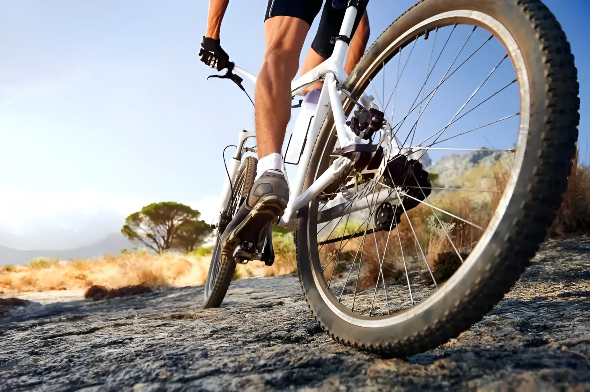 Mountain Biker Riding on a Rocky Trail With a Sunny Backdrop — Barolin Physiotherapy Services in Bundaberg South, QLD