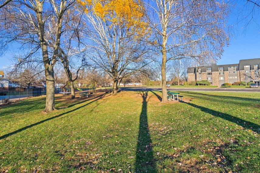 Sunny park with bare trees, green grass, and long shadows beside a path and houses in the distance