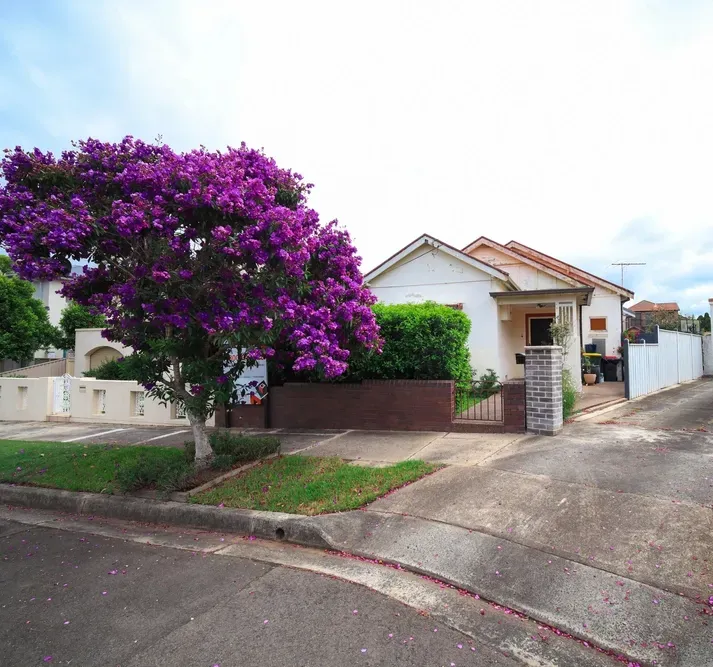 A House With Large Purple Tree Out the Front — Money Spider Conveyancing In Alice Springs, NT