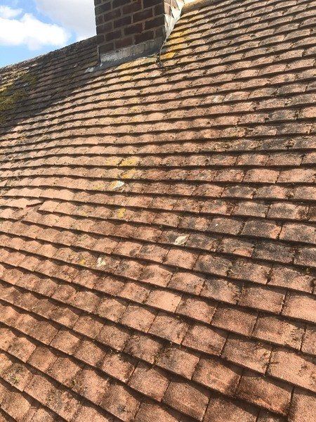 Roof Cleaning