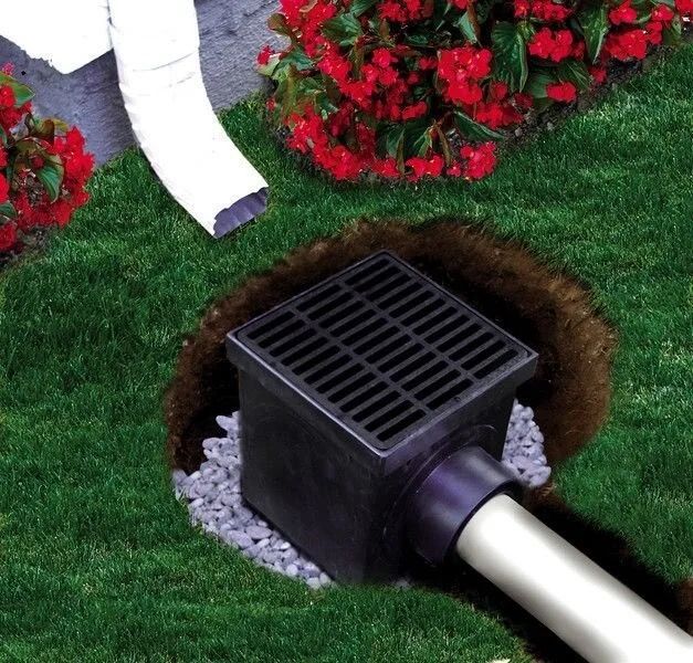 Black yard drain box with grate and white pipe in grass beside red flowers.