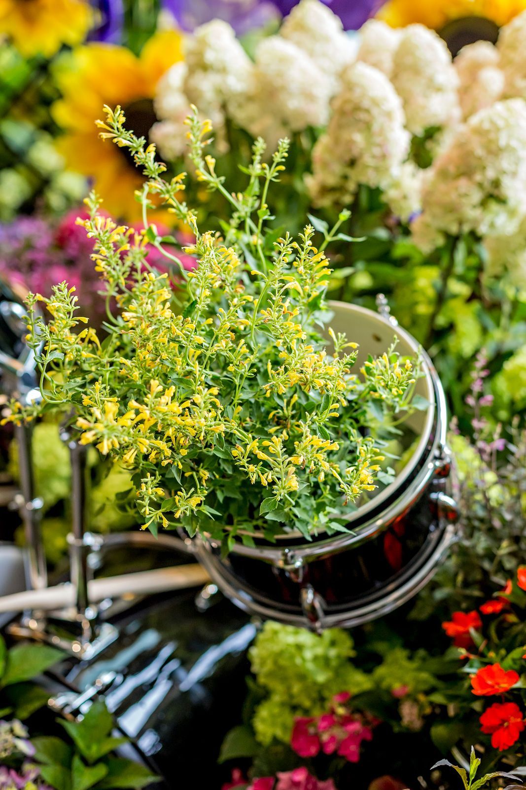 a drum with a plant in it surrounded by flowers