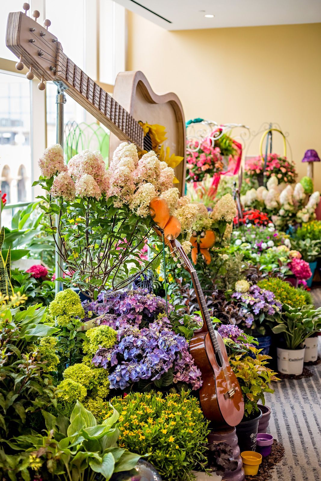 a display of flowers with a guitar in the middle