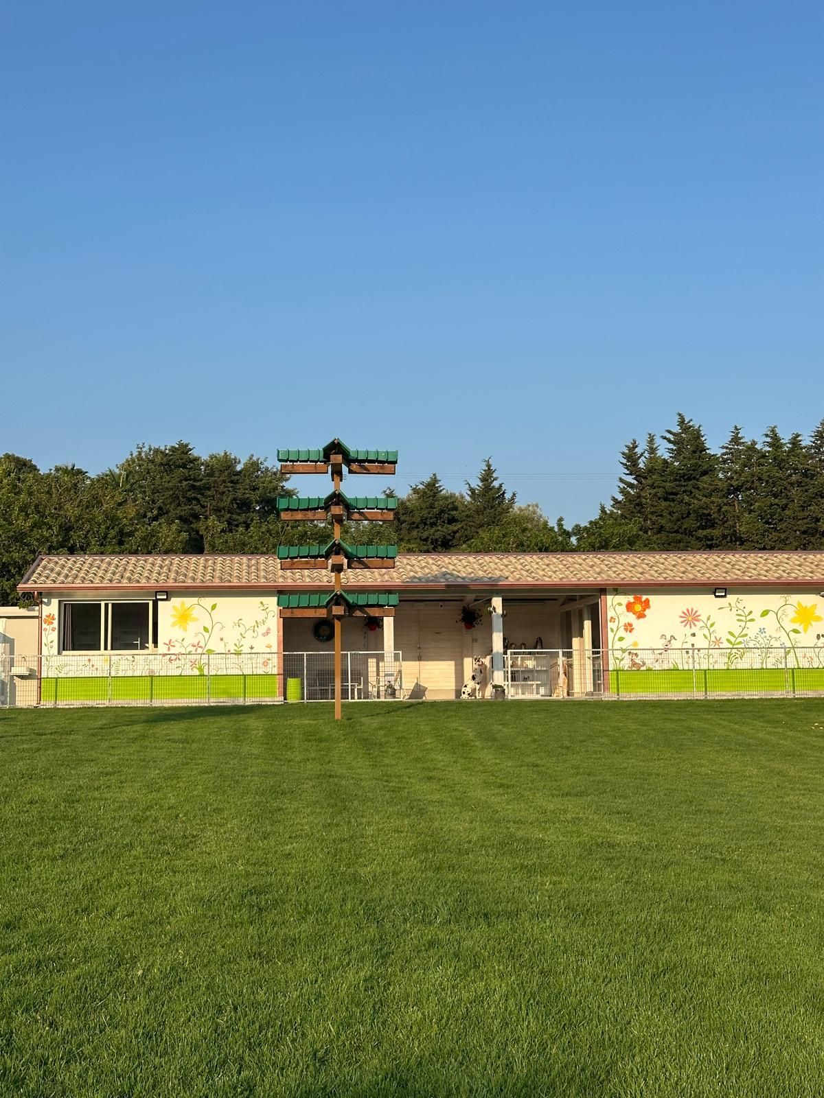 Una casa con un grande prato davanti.