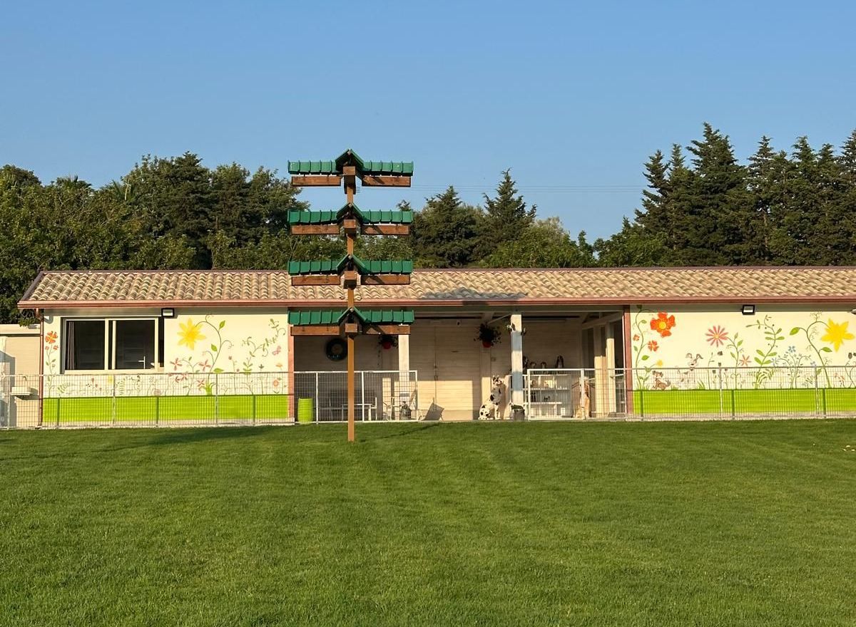 Un cane sta nuotando in una piscina con un giocattolo in bocca.