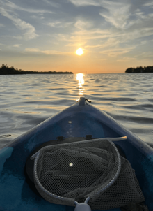 Kayak 