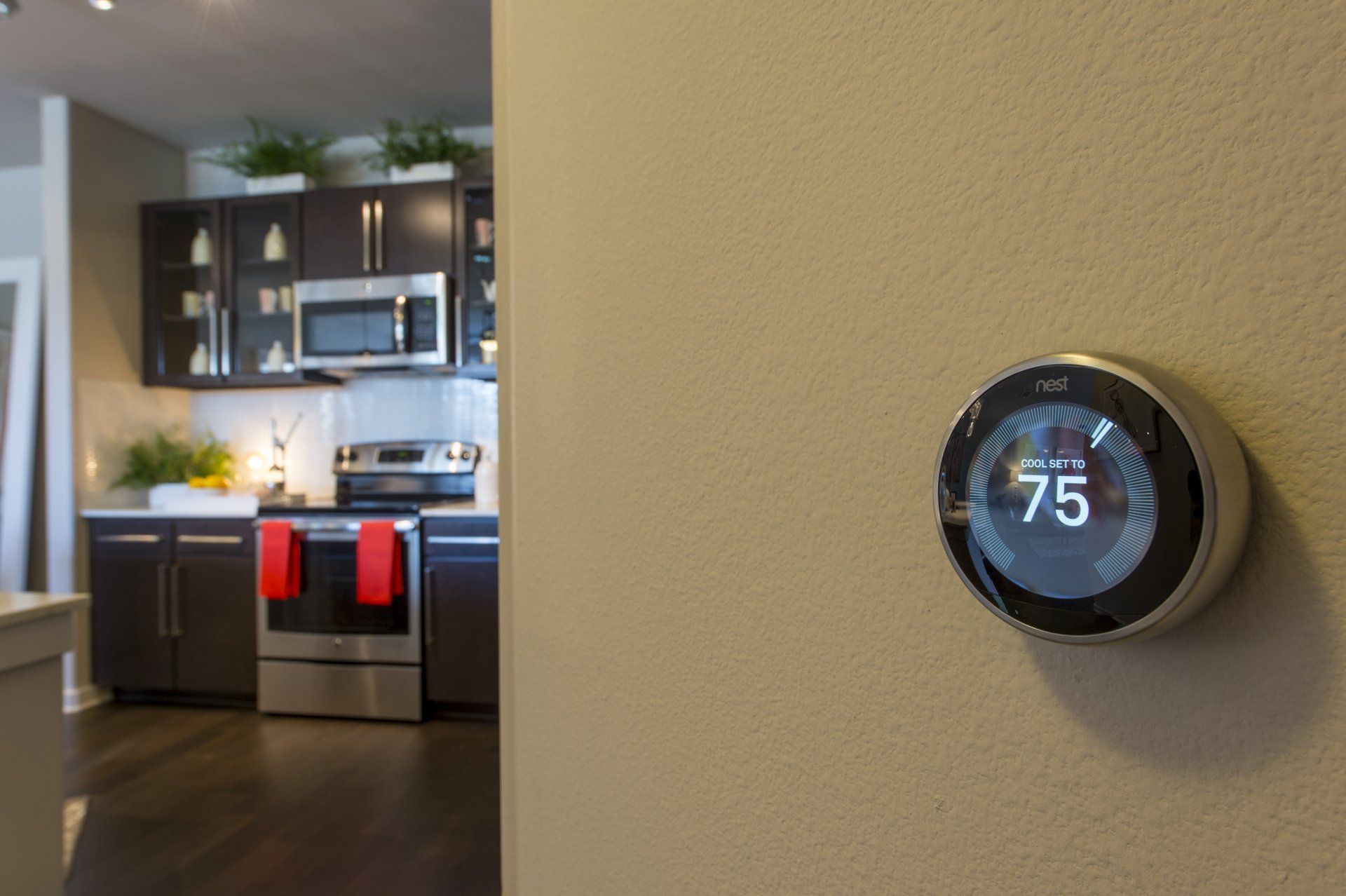 Thermostat and Kitchen | Elite 99
