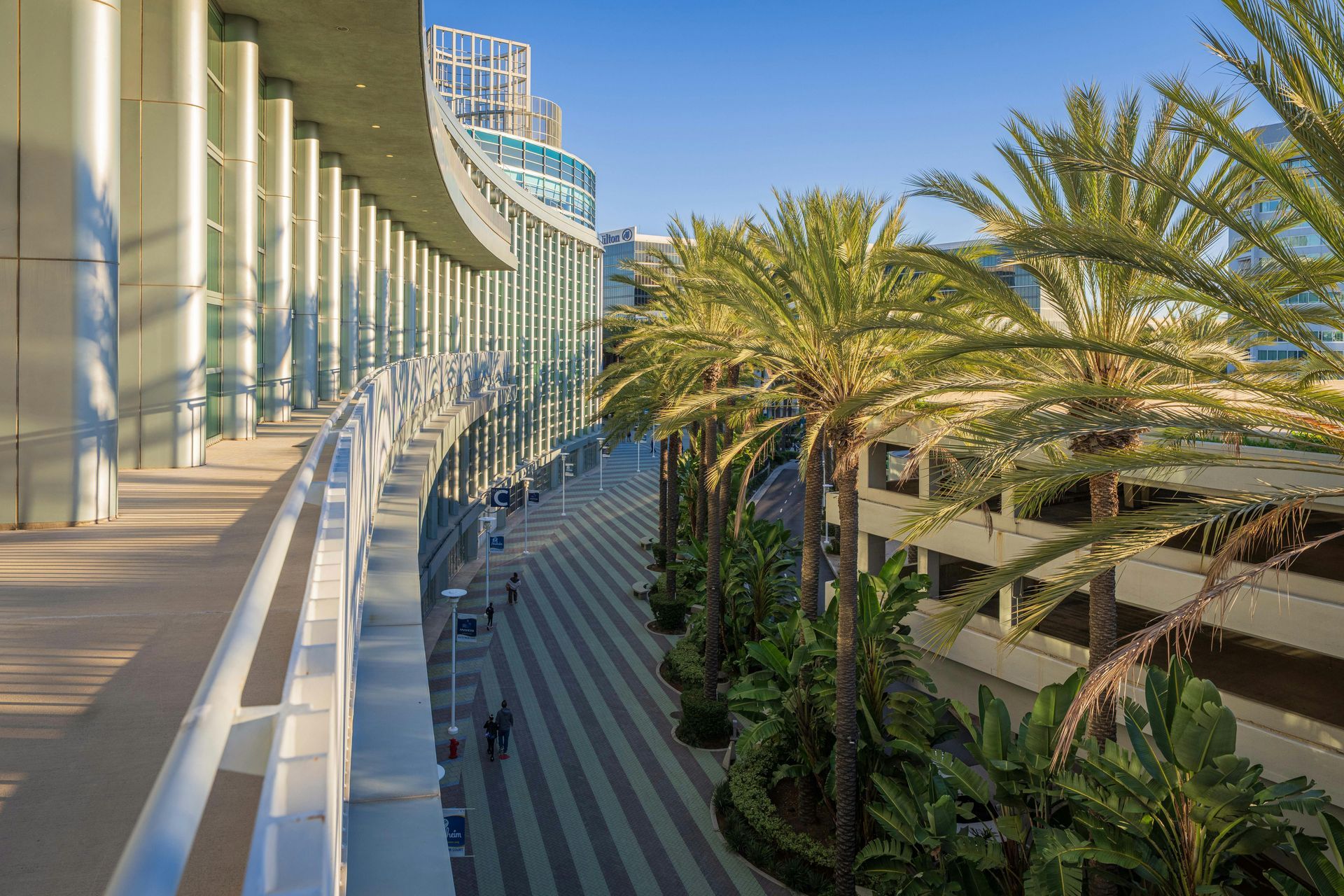 Curved walkway beside modern building and palm trees in bright sunlight