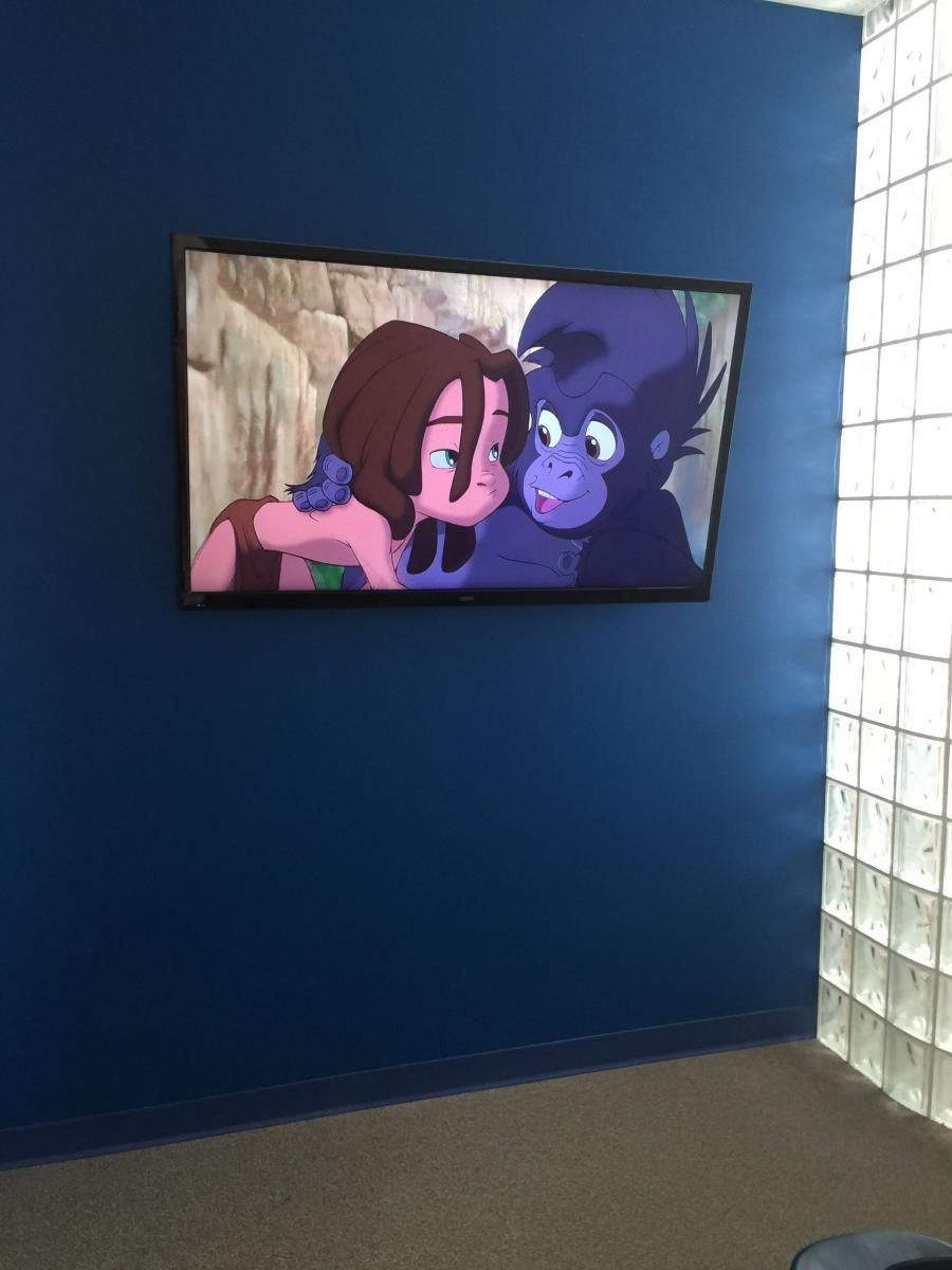 TV screen displaying animated characters, brown-haired person with a purple-skinned gorilla, dark blue wall.